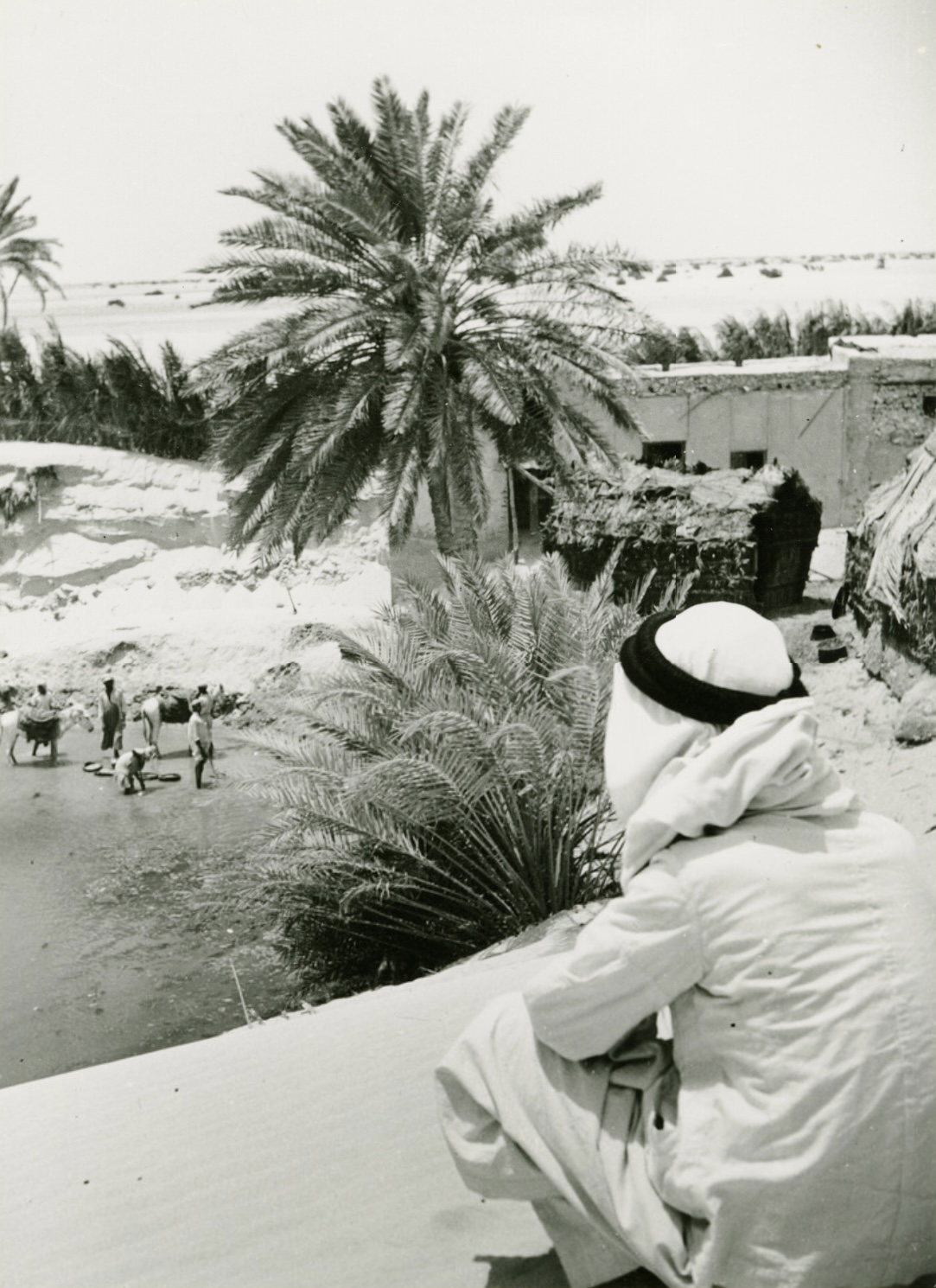 صورة جديد